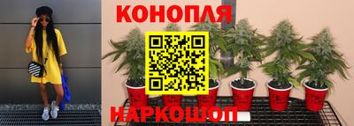 каннабис Апшеронск