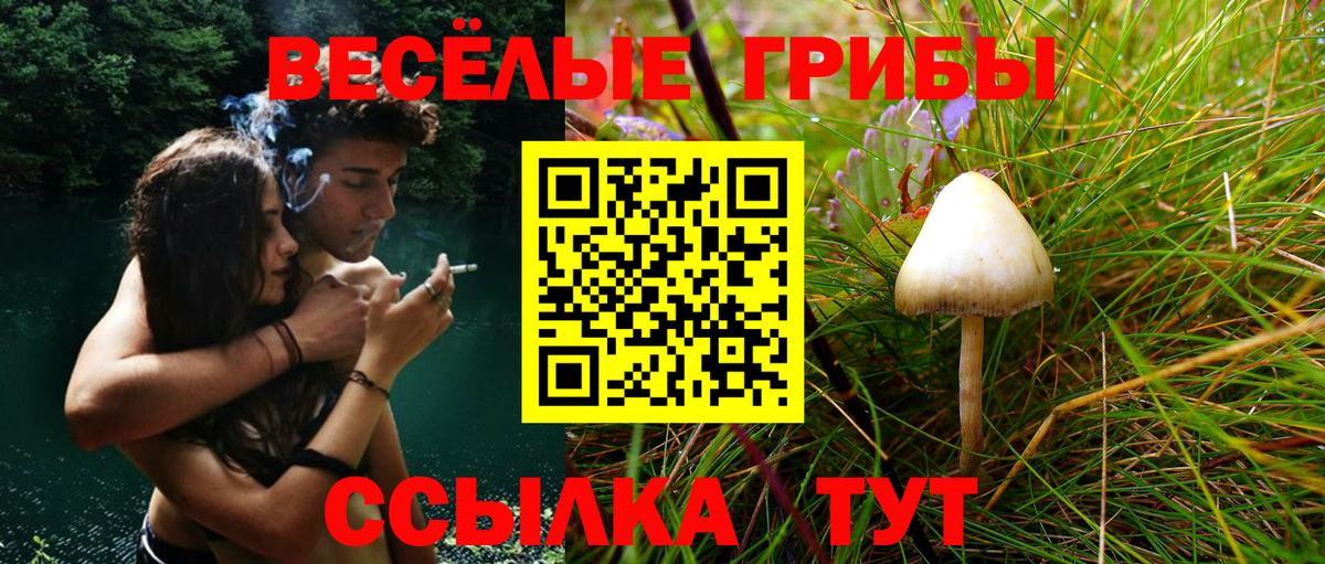 Псилоцибиновые грибы MAGIC MUSHROOMS  Вход с VPN  Будённовск 