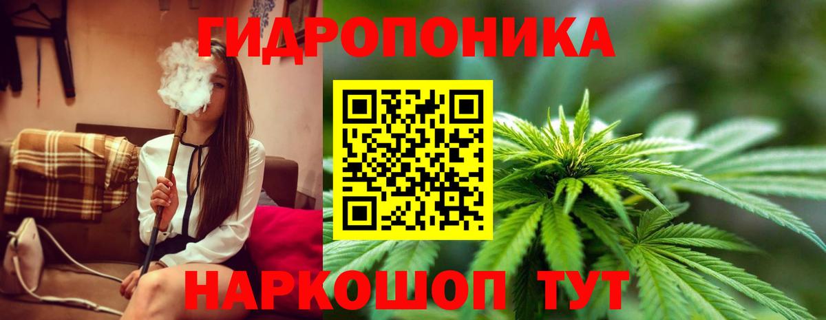 Марихуана OG Kush Будённовск